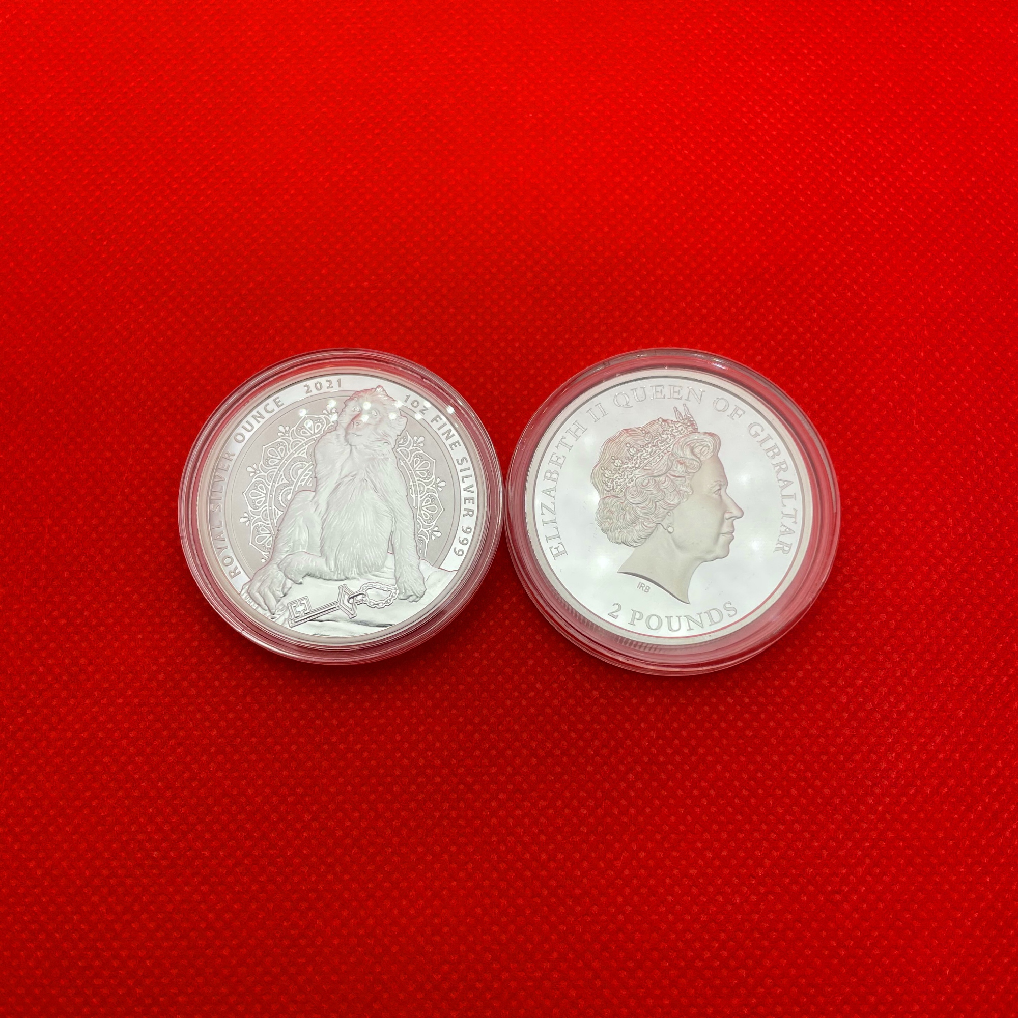 Серебряная монета 1oz Берберийская Макака 2 фунта 2021 Гибралтар (29128116) 7
