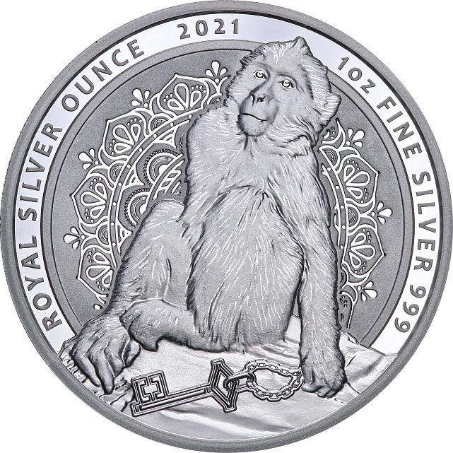 Серебряная монета 1oz Берберийская Макака 2 фунта 2021 Гибралтар (29128116) 8