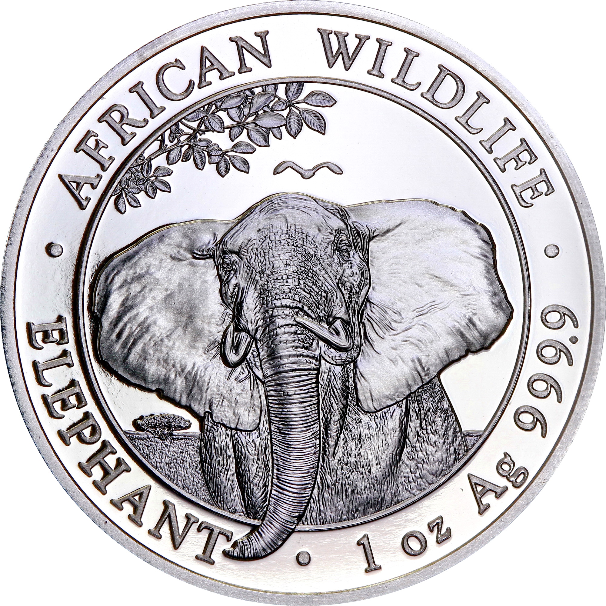 Серебряная монета 1oz Слон 100 шиллингов 2021 Сомали (32952658) 8