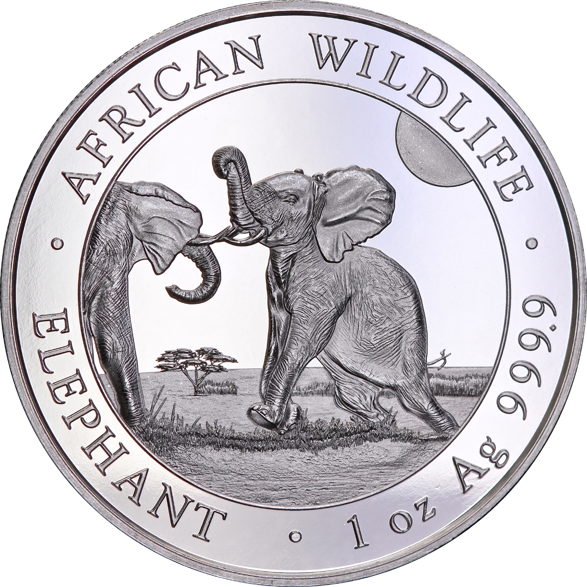 Срібна монета 1oz Слон 100 шилінгів 2024 Сомалі (32164092) 0