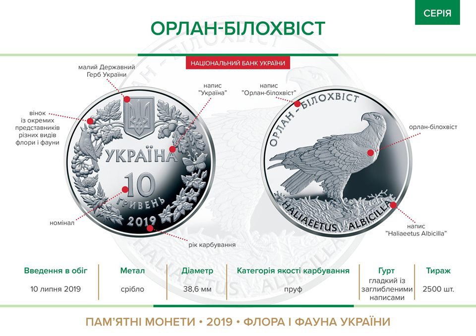 Серебряная монета 1oz Орлан-Белохвост 10 гривен 2019 Украина (33240025) 7