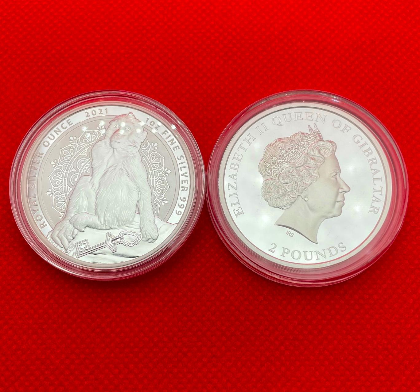 Серебряная монета 1oz Берберийская Макака 2 фунта 2021 Гибралтар (29128116) 0