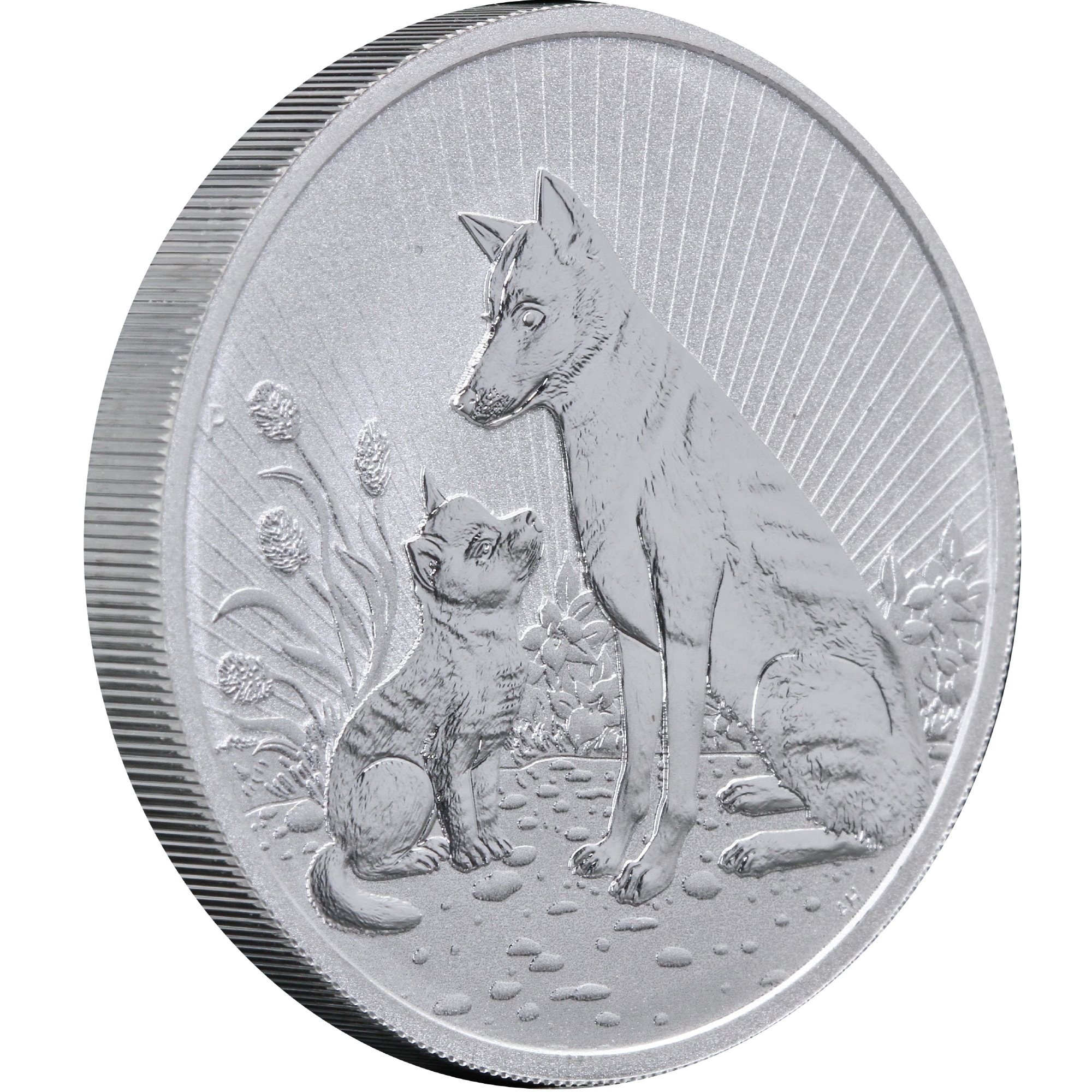 Серебряная монета 2oz Динго Следующее Поколение 2 доллара 2022 Австралия (29244017) 3