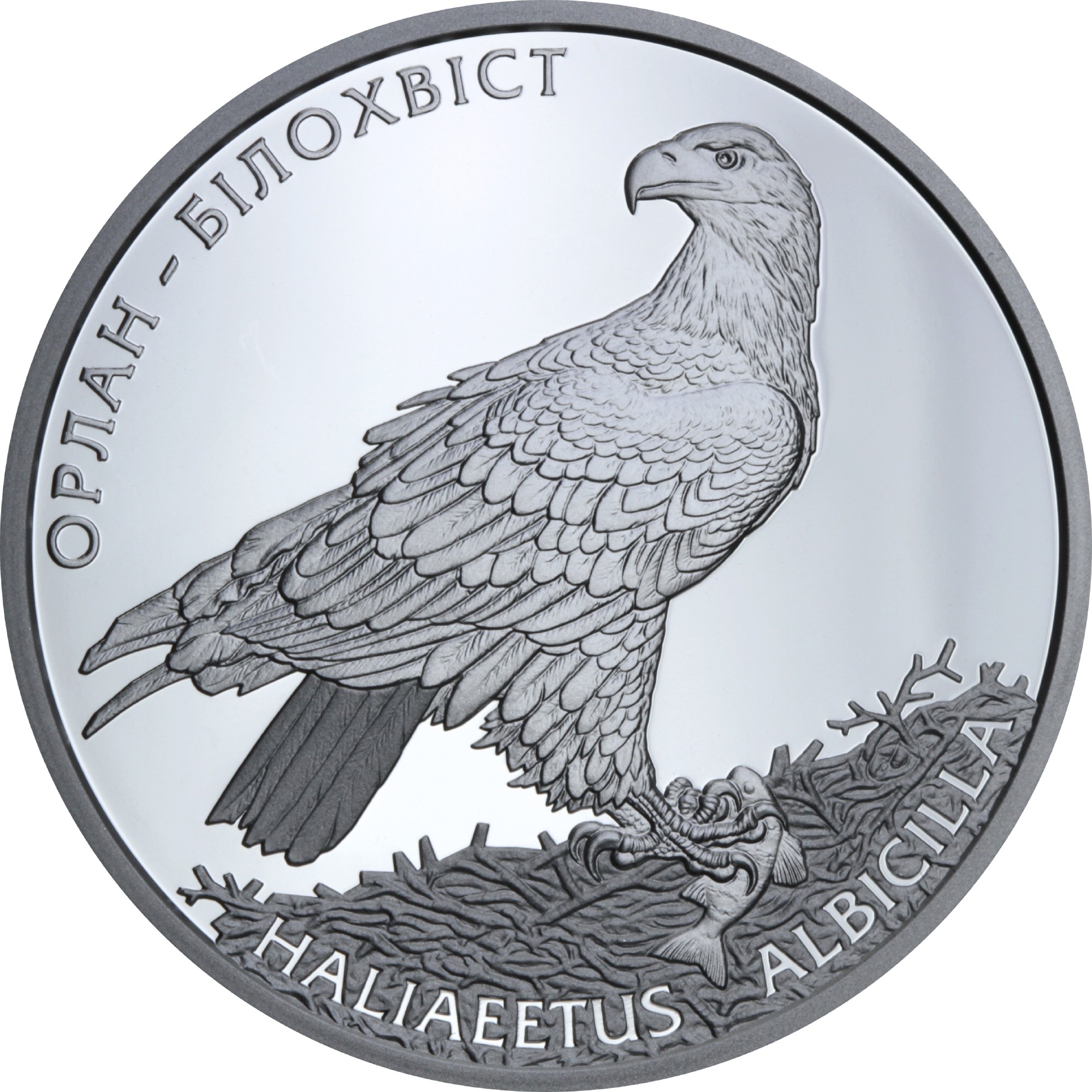 Серебряная монета 1oz Орлан-Белохвост 10 гривен 2019 Украина (33240025) 0