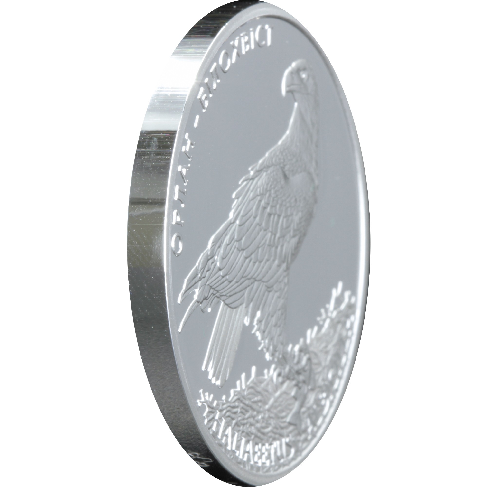 Серебряная монета 1oz Орлан-Белохвост 10 гривен 2019 Украина (33240025) 2