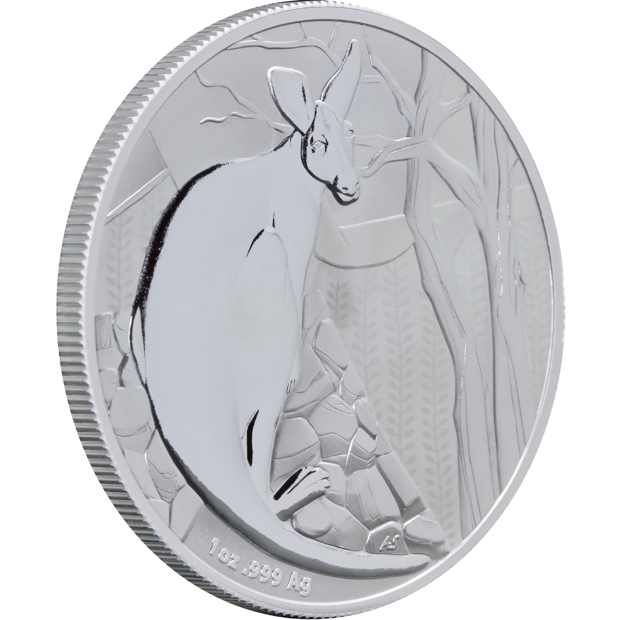 Серебряная монета 1oz Кенгуру 1 доллар 2022 Австралия (	29244545) 9