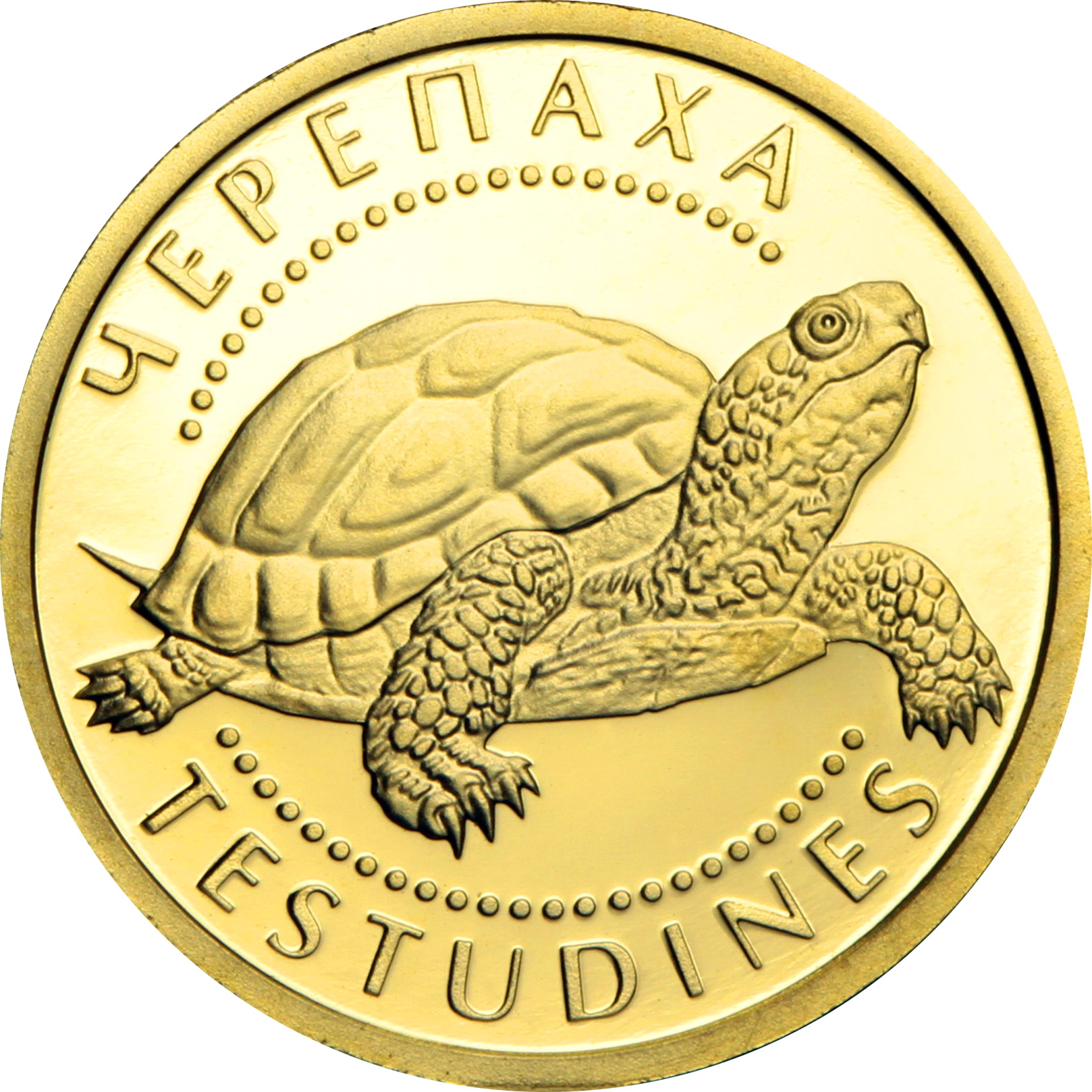 Золотая монета 1/25oz Черепаха 2 гривны 2009 Украина (33214247) 0