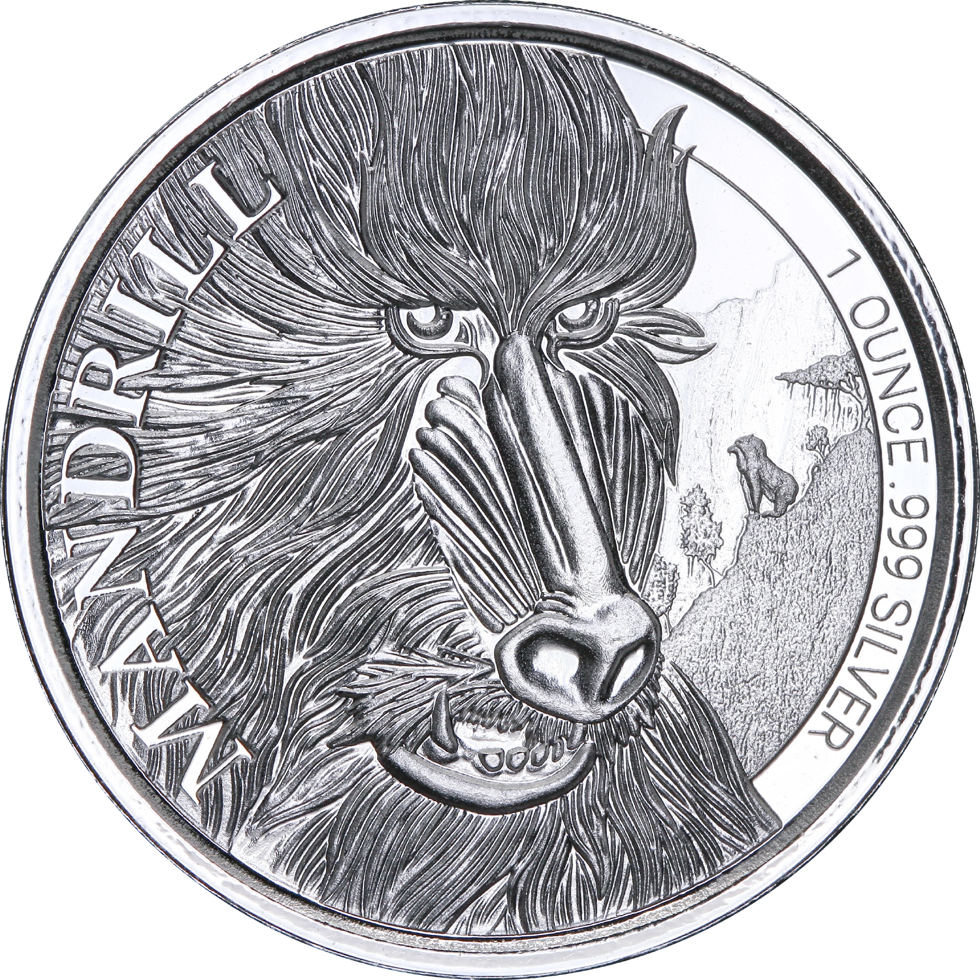Серебряная монета 1oz Мандрил 500 франков КФА 2020 Камерун (29128133) 8