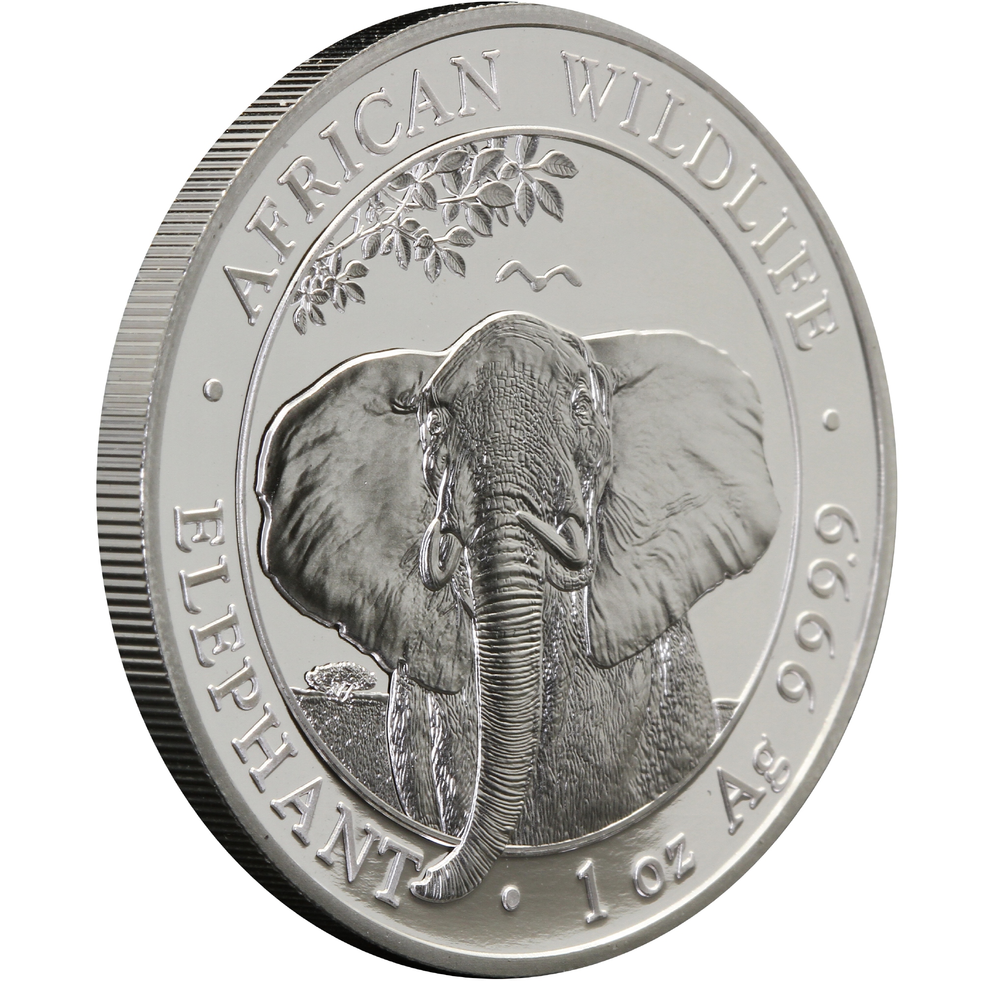 Серебряная монета 1oz Слон 100 шиллингов 2021 Сомали (32952658) 3