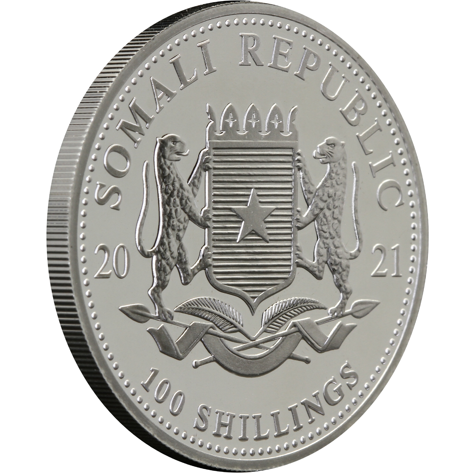 Серебряная монета 1oz Слон 100 шиллингов 2021 Сомали (32952658) 9