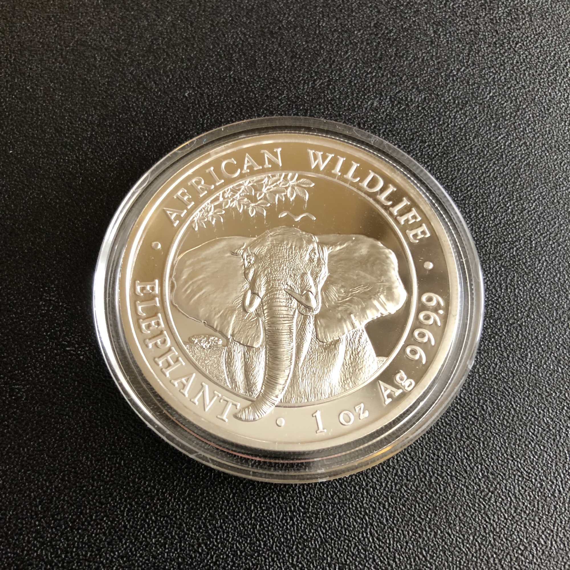 Серебряная монета 1oz Слон 100 шиллингов 2021 Сомали (32952658) 10