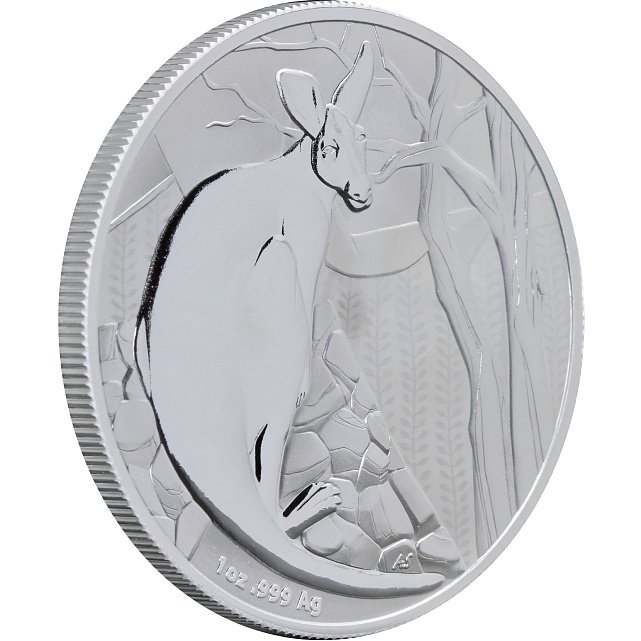 Серебряная монета 1oz Кенгуру 1 доллар 2022 Австралия (	29244545) 9