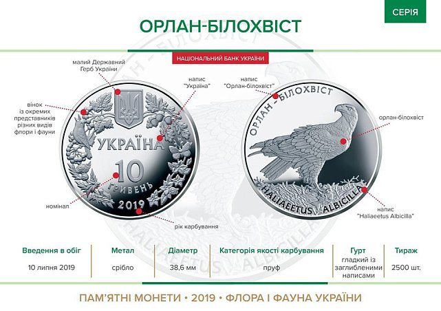 Серебряная монета 1oz Орлан-Белохвост 10 гривен 2019 Украина (33240025) 12