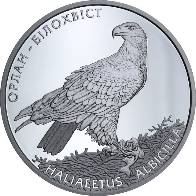 Серебряная монета 1oz Орлан-Белохвост 10 гривен 2019 Украина (33240025) 13