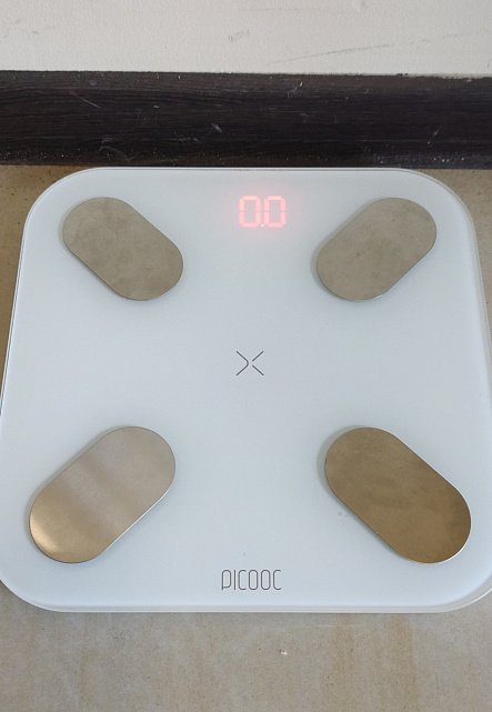 Весы напольные электронные Picooc Mini 0