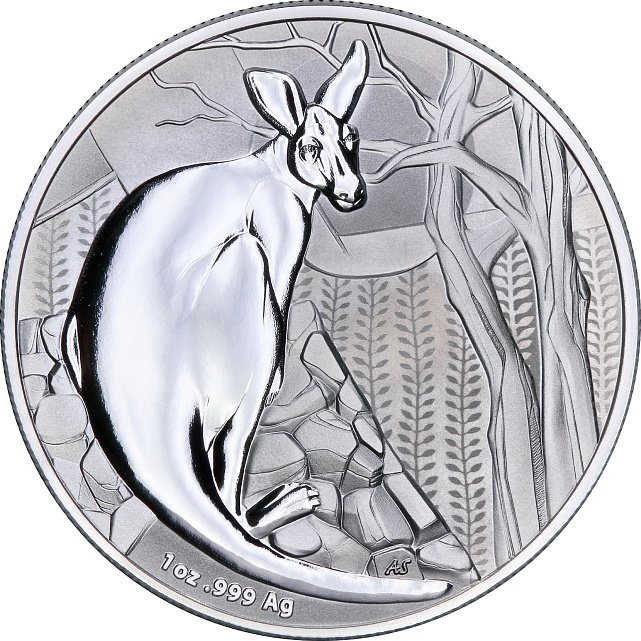 Серебряная монета 1oz Кенгуру 1 доллар 2022 Австралия (	29244545) 6