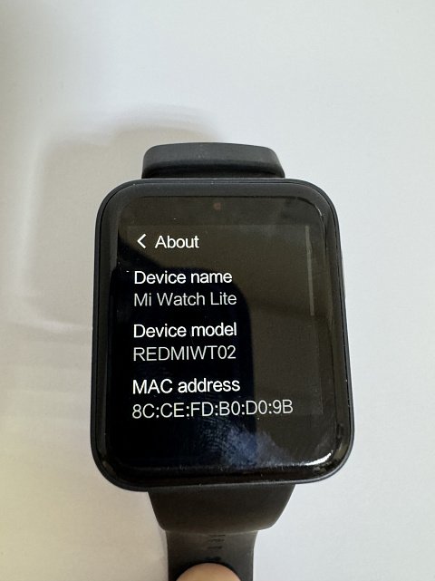 Смарт-часы Xiaomi Mi Watch Lite REDMIWT02 6