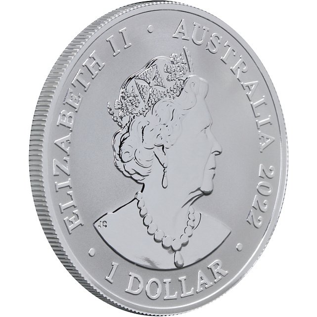 Серебряная монета 1oz Темный Дельфин 1 доллар 2022 Австралия (29128422) 4